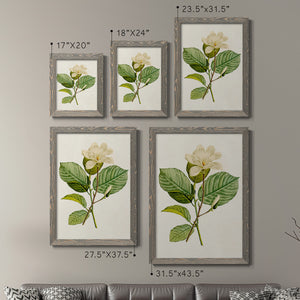 Magnolia Flowers I - Premium Framed Canvas 2 Piece Set - Ready to Hang