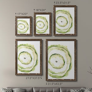 Lichen Halo III - Barnwood Framed Canvas Set