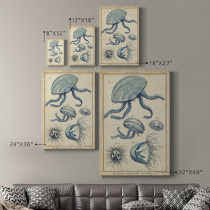 Lamarck Medusa II - Canvas Art Print