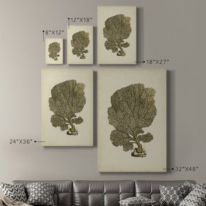 Sealife Collection VIII - Canvas Art Print