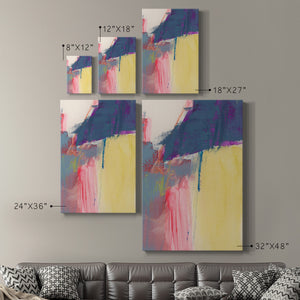 Flim Flam IV - Canvas Art Print