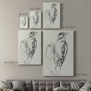 Woodpecker Sketch II Premium Gallery Wrapped Canvas - Ready to Hang