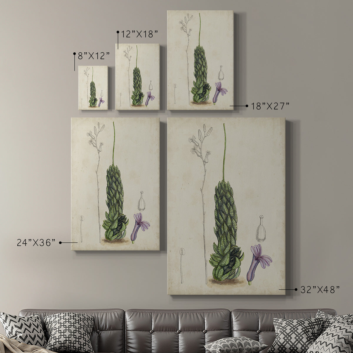 Antique Cactus IV Premium Gallery Wrapped Canvas - Ready to Hang