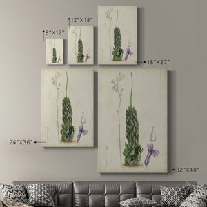 Antique Cactus IV Premium Gallery Wrapped Canvas - Ready to Hang