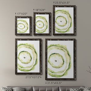 Lichen Halo III - Barnwood Framed Canvas Set