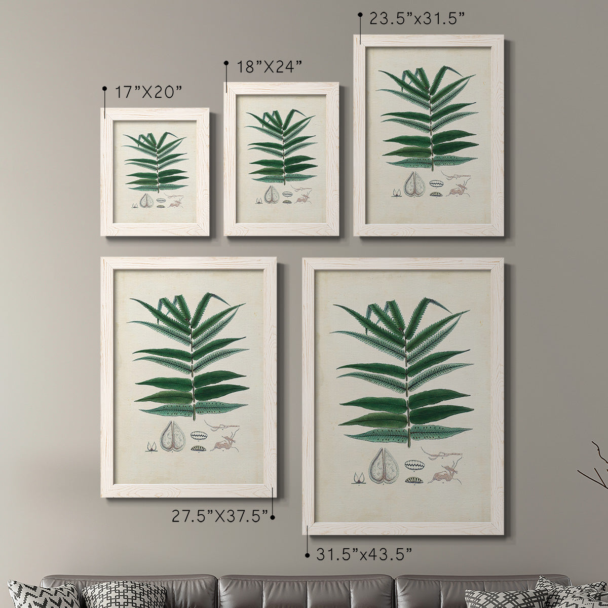 Collected Ferns IX - Premium Framed Canvas 2 Piece Set - Ready to Hang