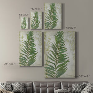 Frond I Premium Gallery Wrapped Canvas - Ready to Hang