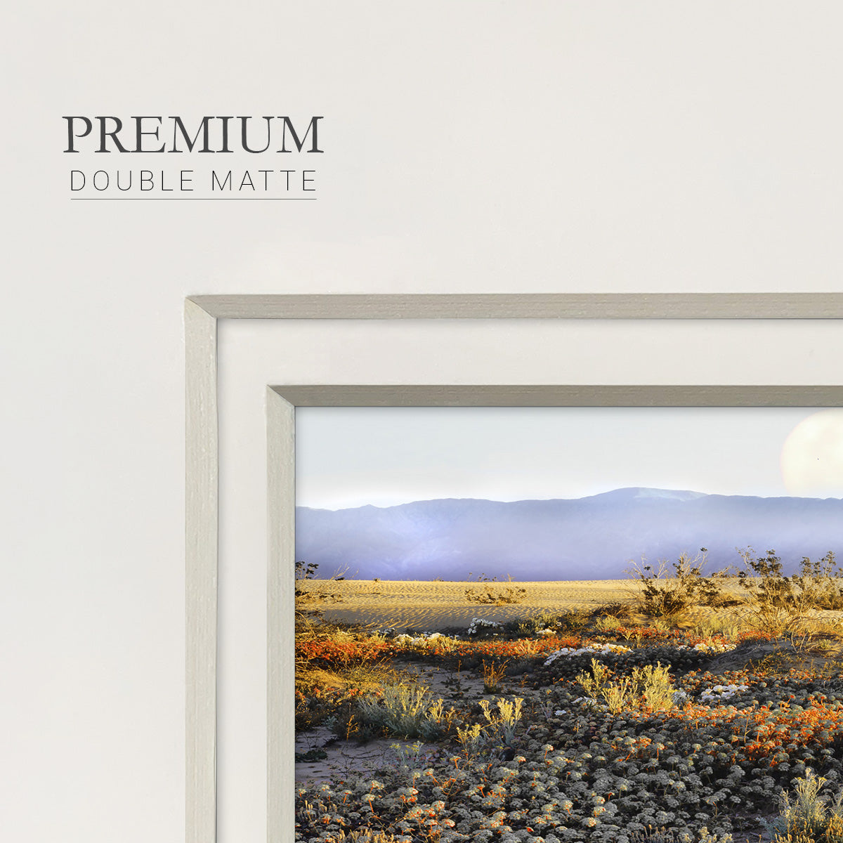 Anza Borrego Desert Premium Framed Print Double Matboard