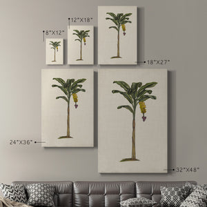 UA CH British Palms III Premium Gallery Wrapped Canvas - Ready to Hang