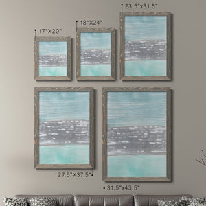 Hydrusphere I - Barnwood Framed Canvas Set