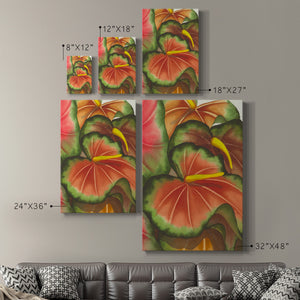 Anthuria II Premium Gallery Wrapped Canvas - Ready to Hang