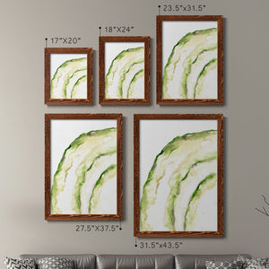 Lichen Halo I - Barnwood Framed Canvas Set