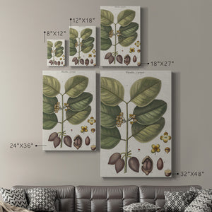 Exotic Botanique II - Canvas Art Print