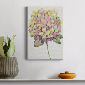 Multicolor Floral II Premium Gallery Wrapped Canvas - Ready to Hang