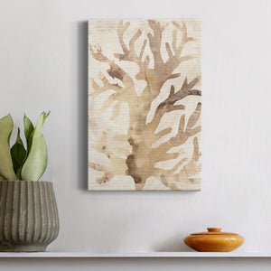 Parchment Coral III Premium Gallery Wrapped Canvas - Ready to Hang