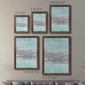 Hydrusphere I - Barnwood Framed Canvas Set
