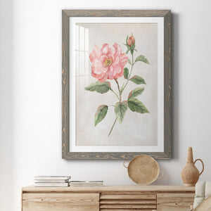 Grandiflora II - Barnwood Framed Art Print