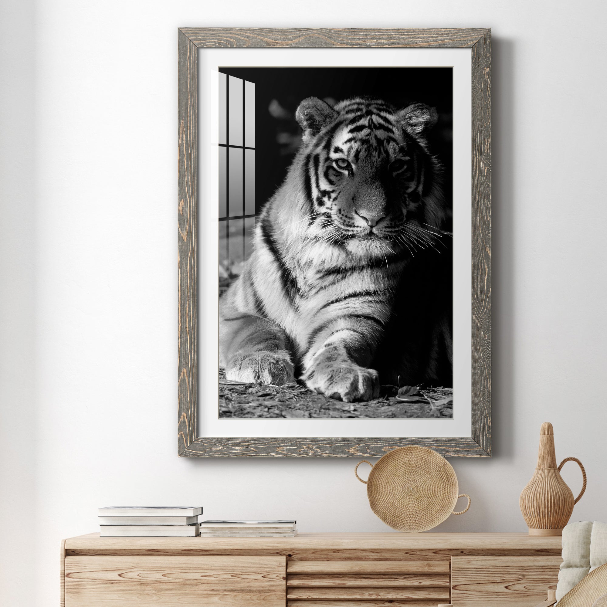 Tiger Repose - Barnwood Framed Art Print