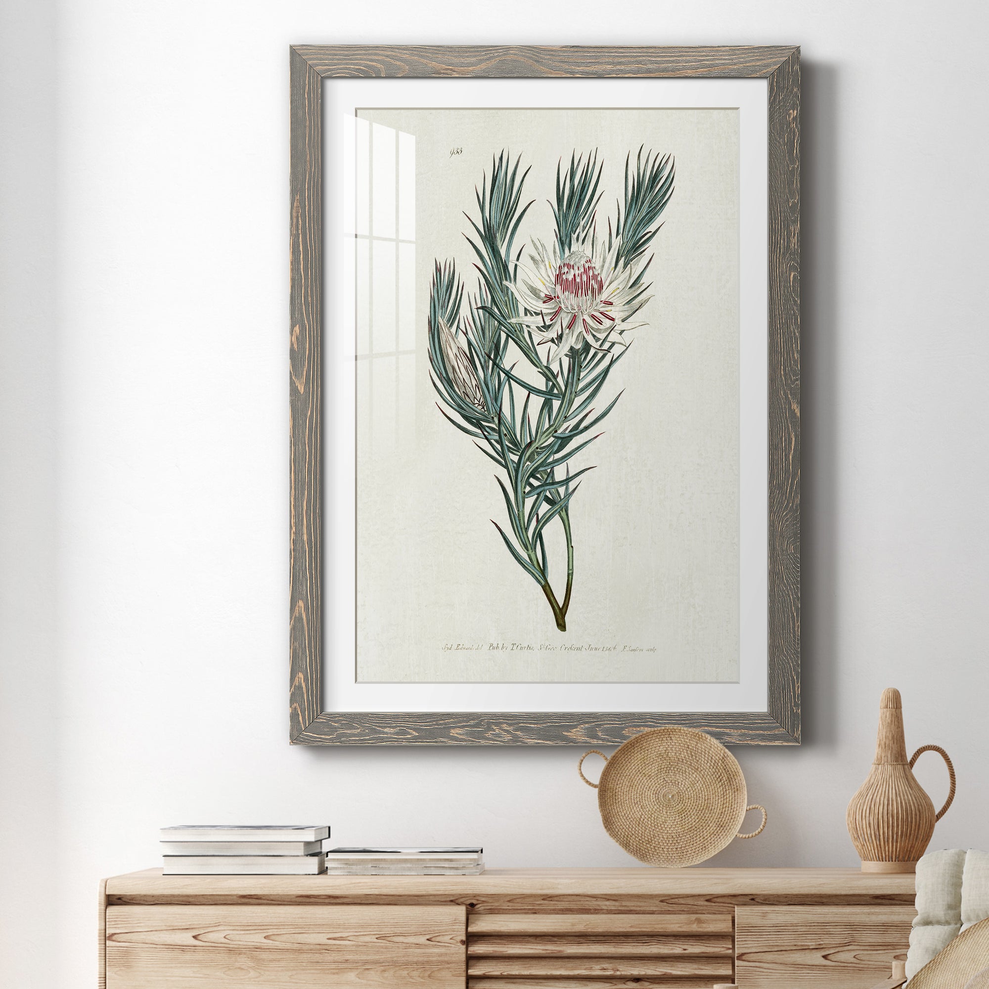 Protea N33 - Barnwood Framed Art Print