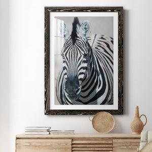 Namibia Zebra - Premium Framed Print - Distressed Barnwood Frame - Ready to Hang