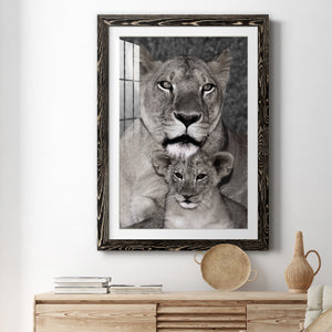 Lioness and Cub - Barnwood Framed Art Print