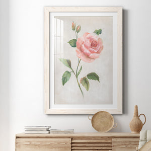 Grandiflora I - Barnwood Framed Art Print
