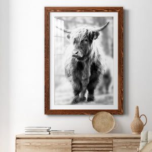 Yorkshire Highland - Premium Framed Print - Distressed Barnwood Frame - Ready to Hang