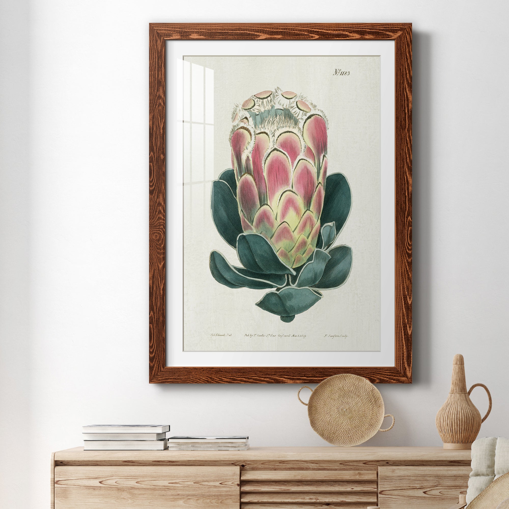 Protea N83 - Barnwood Framed Art Print