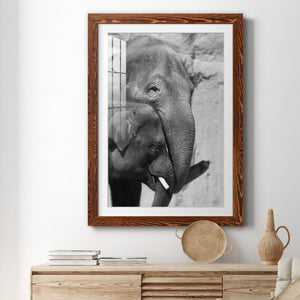 Tender Moment - Barnwood Framed Art Print