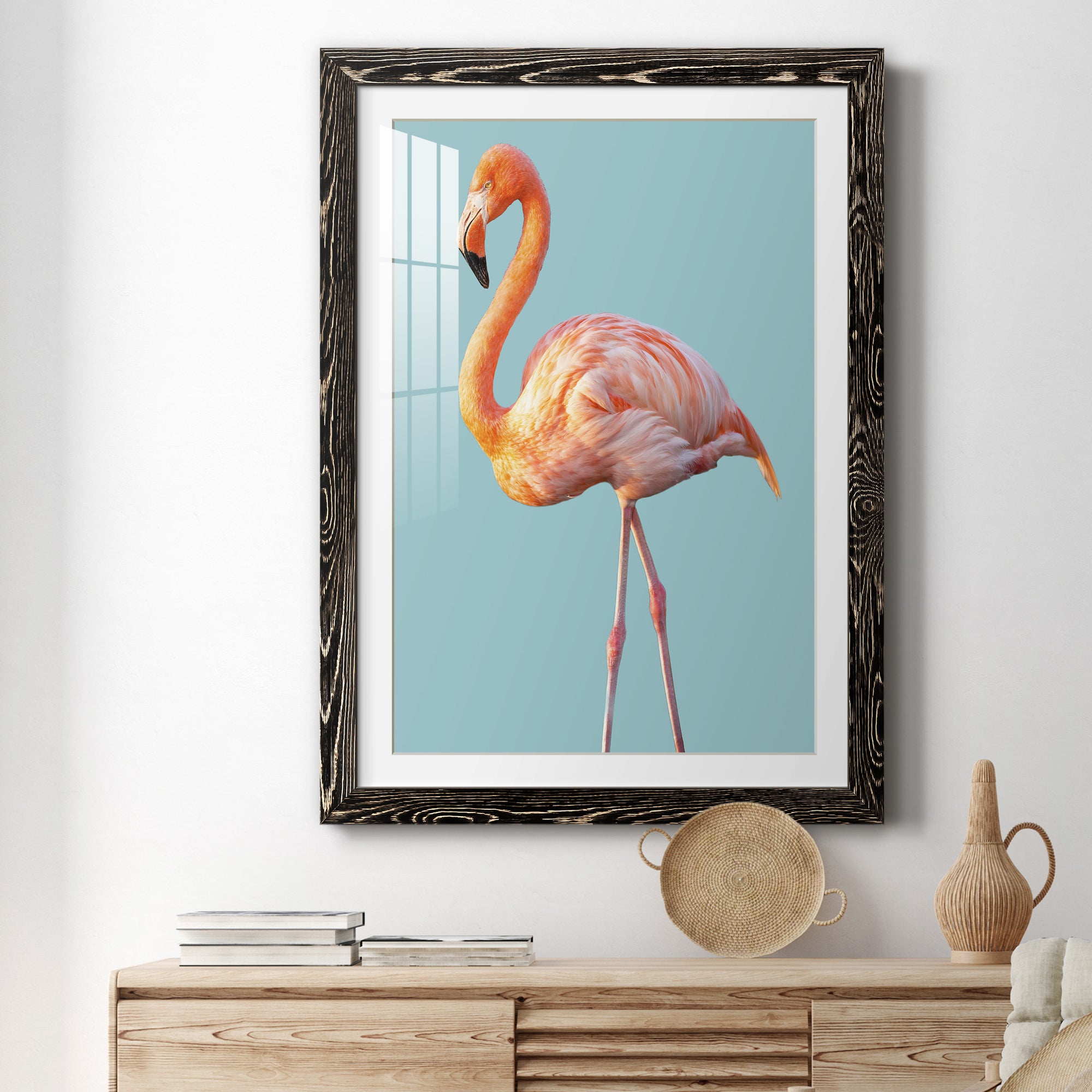 Flamingo - Barnwood