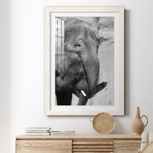 Tender Moment - Barnwood Framed Art Print