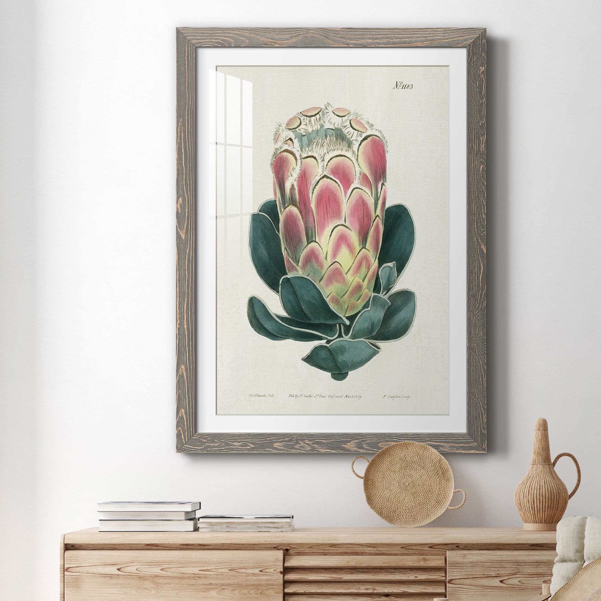 Protea N83 - Barnwood Framed Art Print