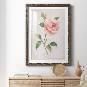Grandiflora I - Barnwood Framed Art Print