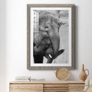 Tender Moment - Barnwood Framed Art Print