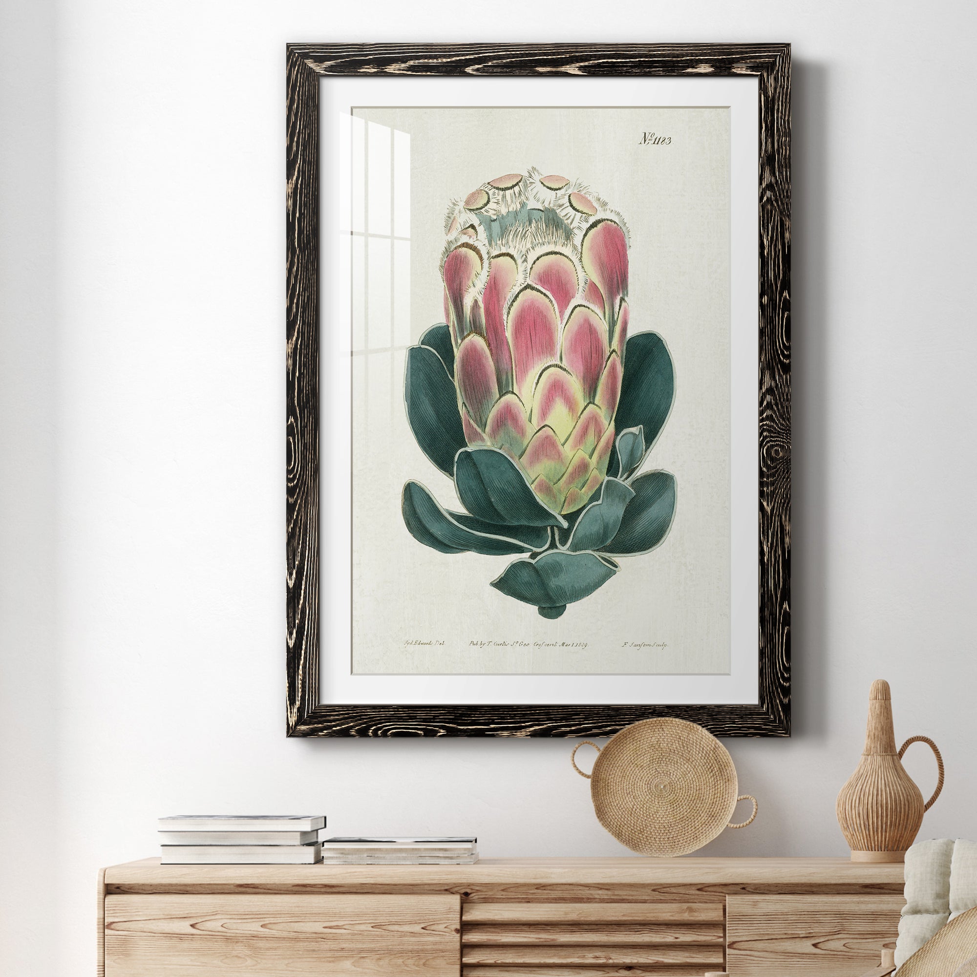 Protea N83 - Barnwood Framed Art Print
