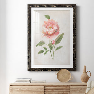 Grandiflora III - Barnwood Framed Art Print