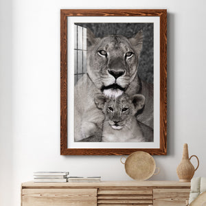 Lioness and Cub - Barnwood Framed Art Print