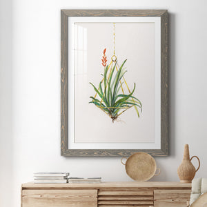 Gardenaire I - Barnwood Framed Art Print