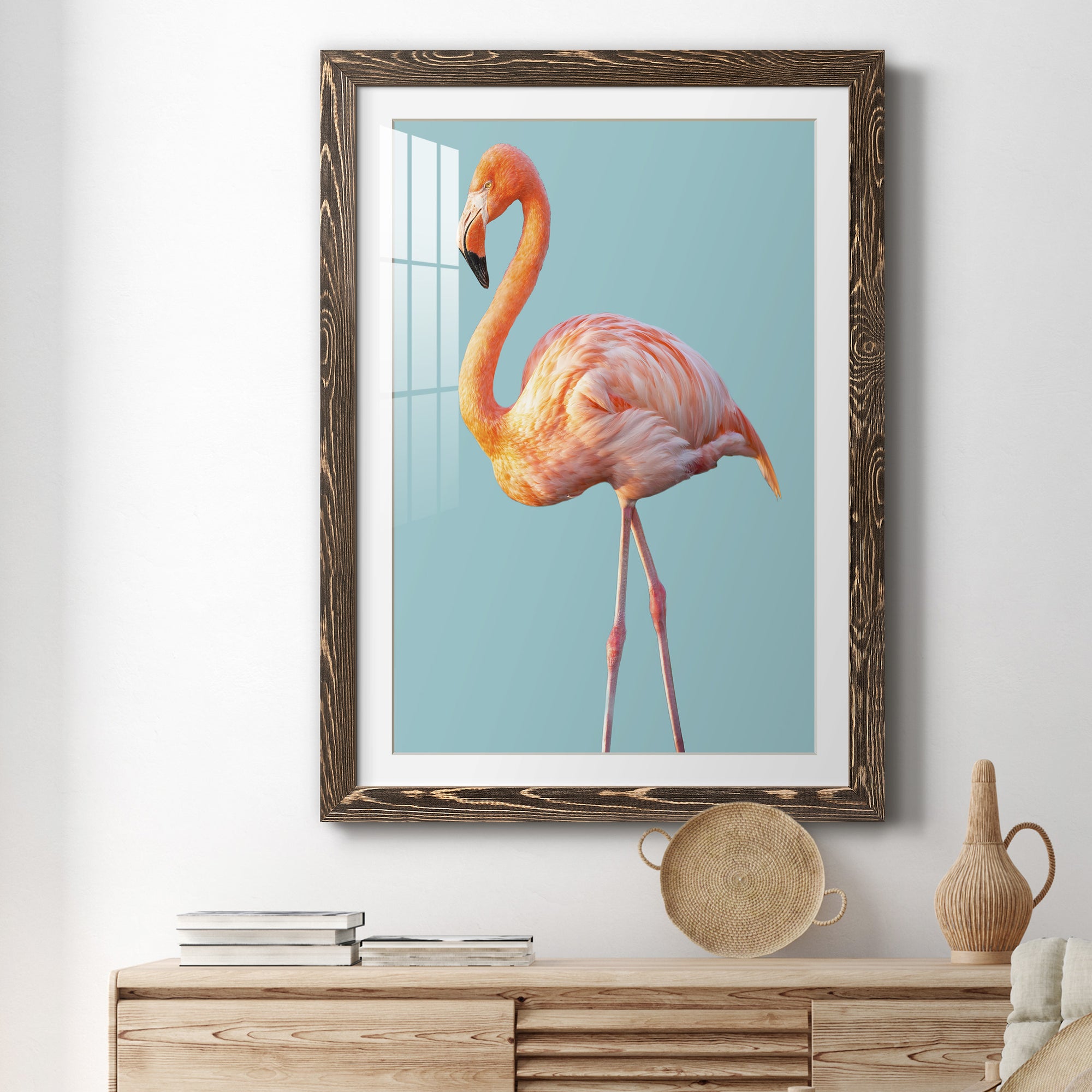 Flamingo - Barnwood