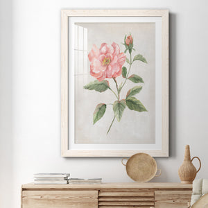 Grandiflora II - Barnwood Framed Art Print