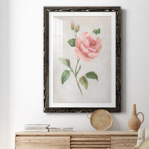Grandiflora I - Barnwood Framed Art Print