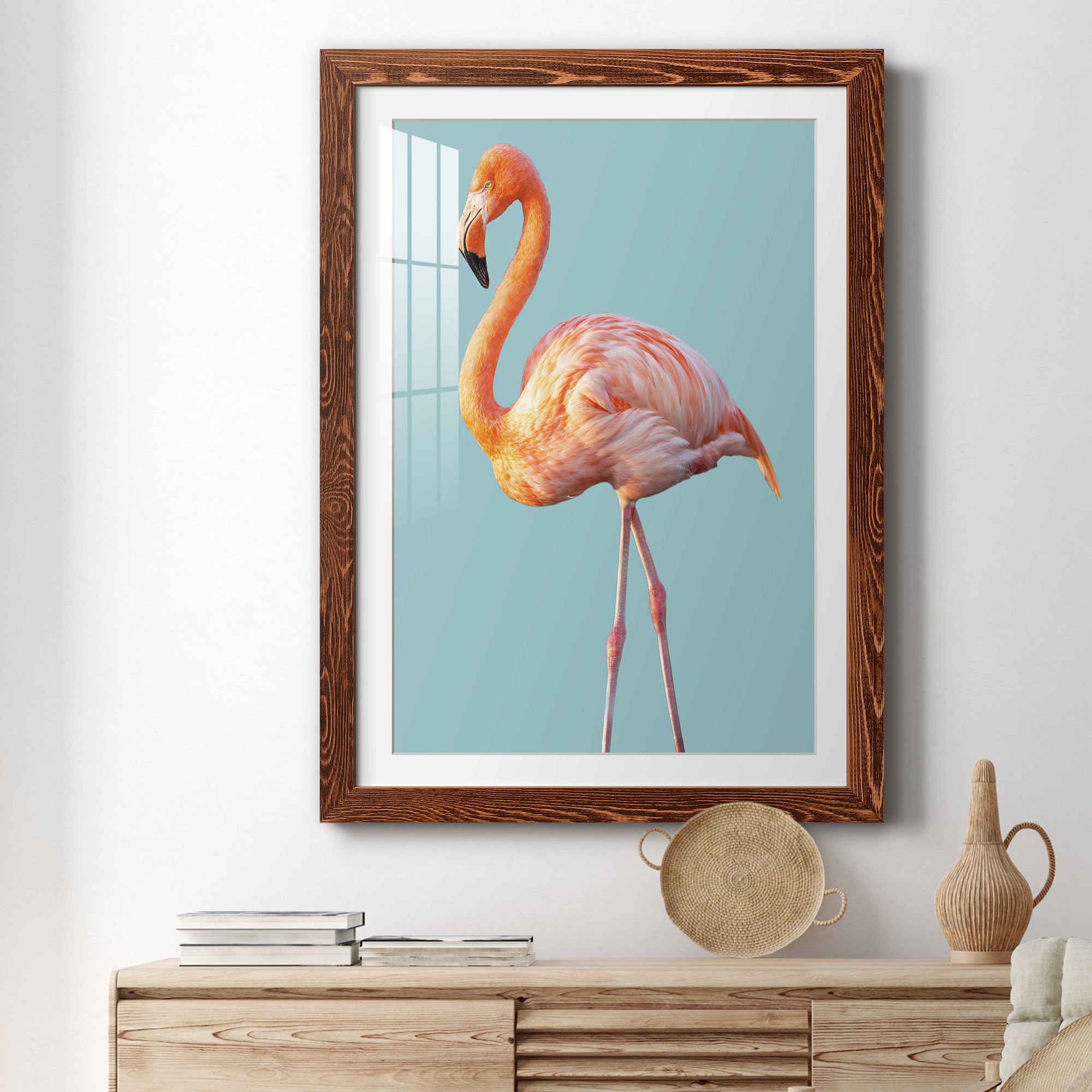 Flamingo - Barnwood