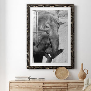 Tender Moment - Barnwood Framed Art Print