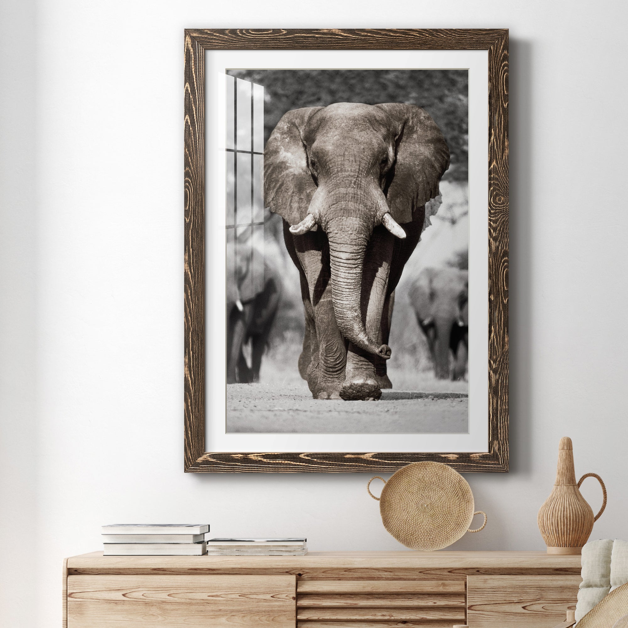 Botswana Patriarch - Barnwood Framed Art Print