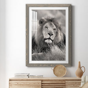 Pride of the Pride - Barnwood Framed Art Print