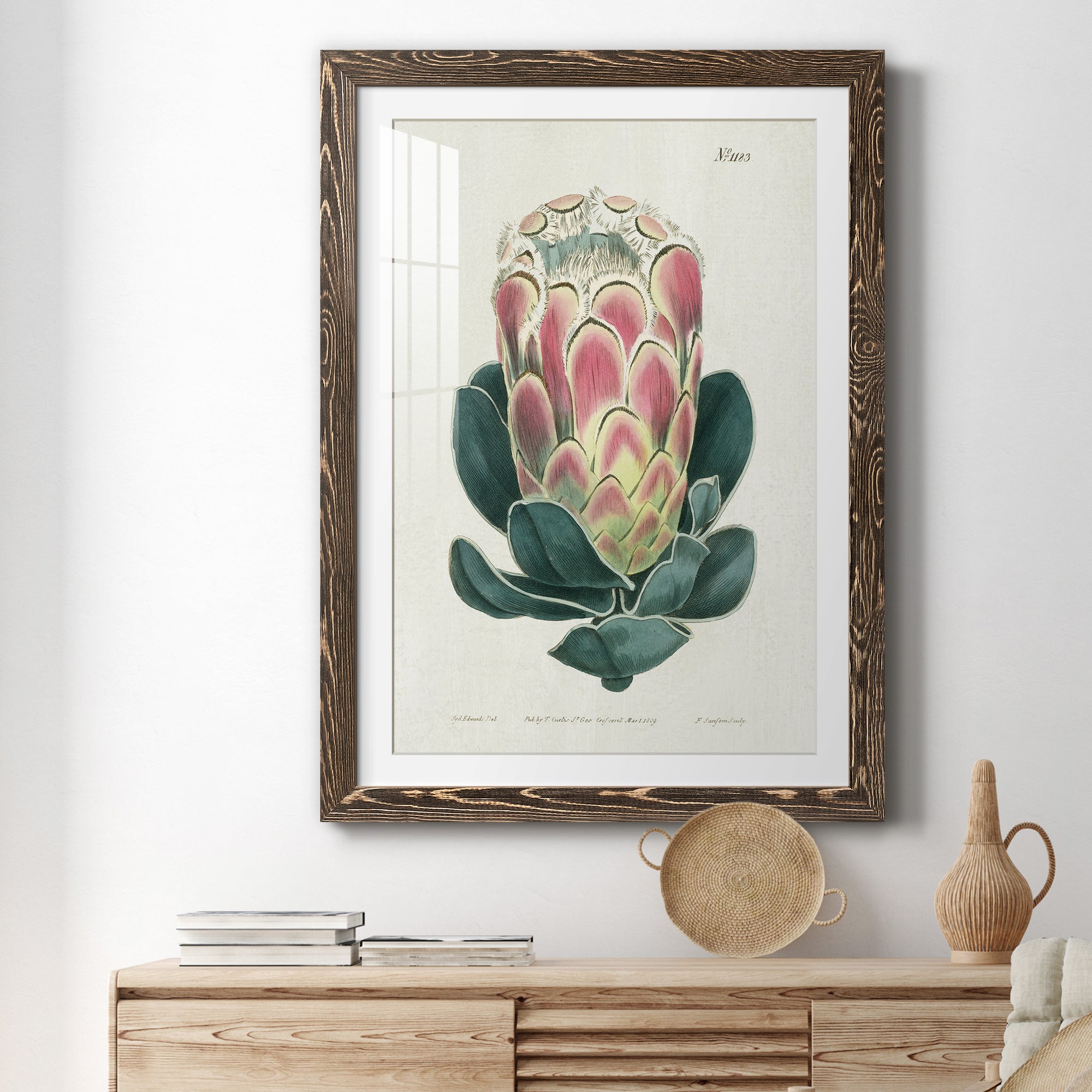 Protea N83 - Barnwood Framed Art Print