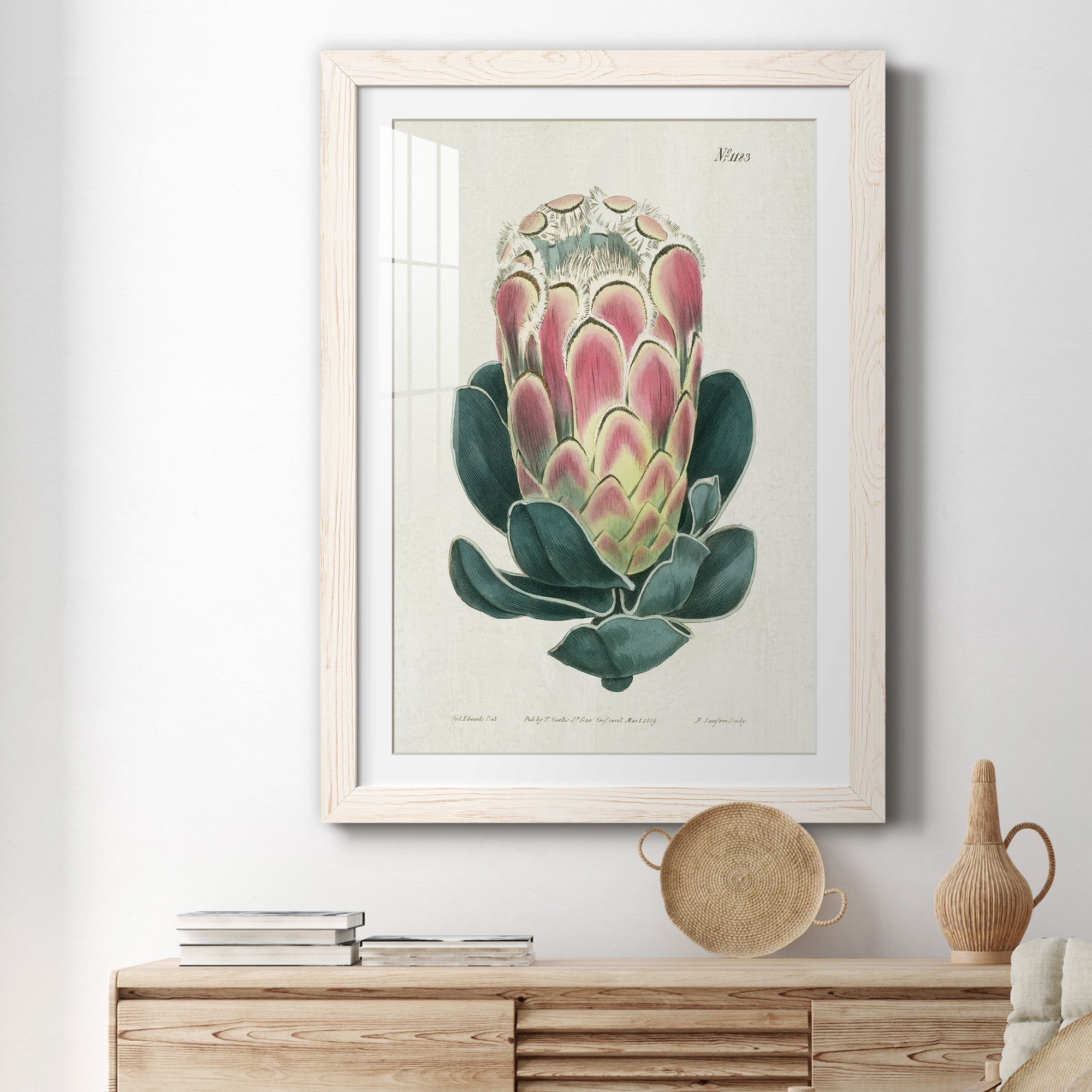 Protea N83 - Barnwood Framed Art Print