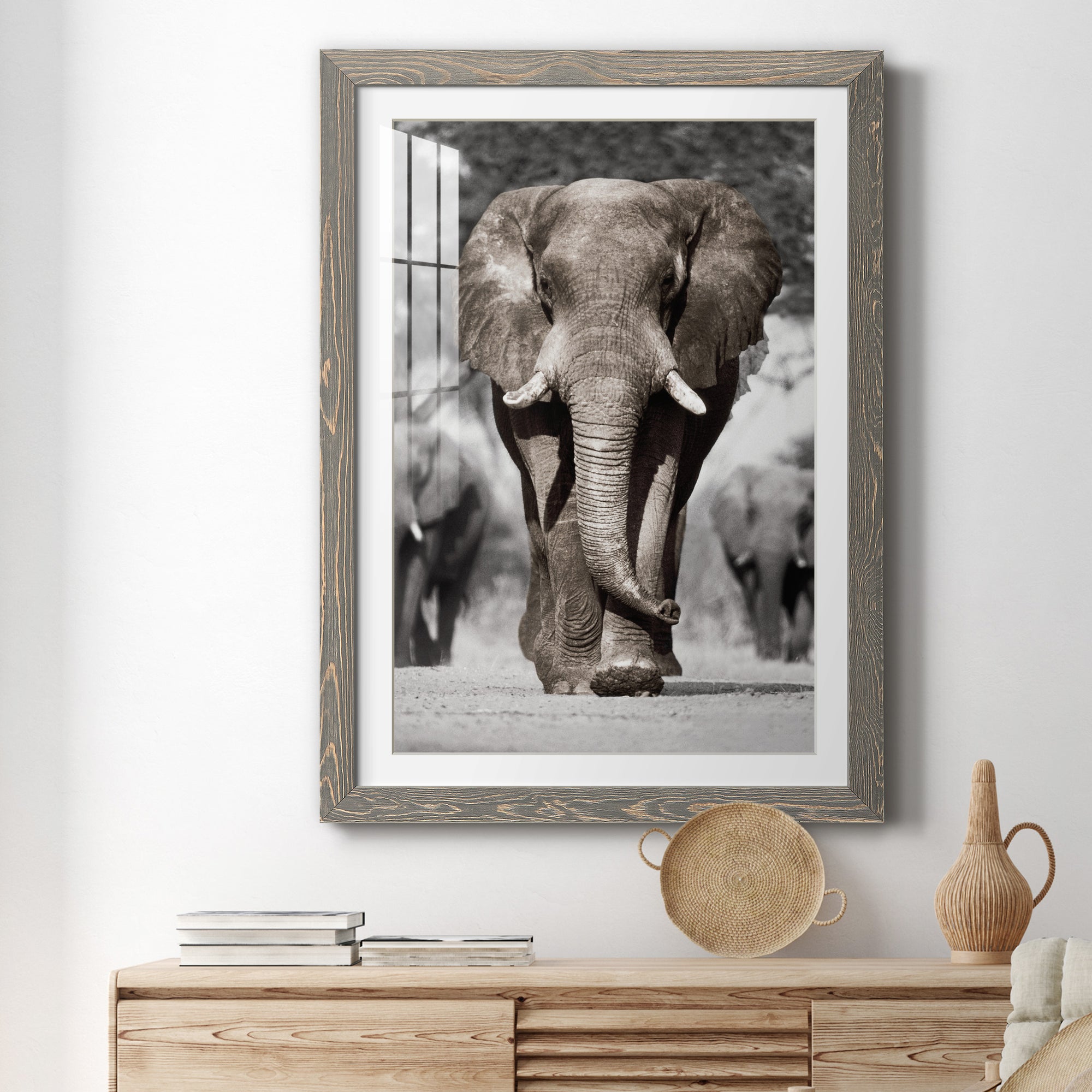 Botswana Patriarch - Barnwood Framed Art Print