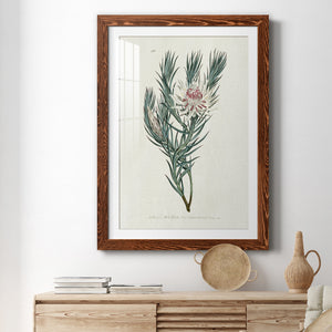 Protea N33 - Barnwood Framed Art Print