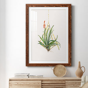 Gardenaire I - Barnwood Framed Art Print